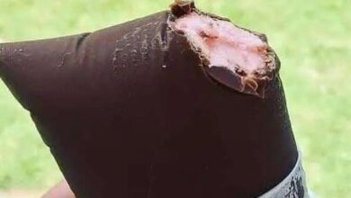 Geladinho gourmet coberto com chocolate Receitas Agora - Geladinho gourmet coberto com chocolate