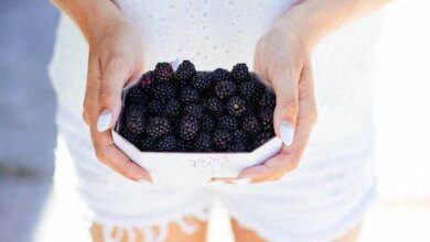 Benefícios da amora e seu chá emagrecedor