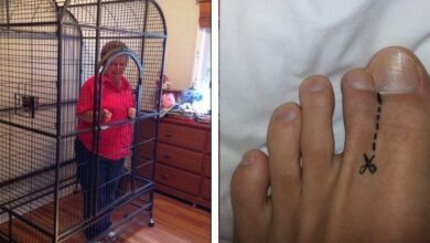 20 Pessoas criativas que solucionaram seus problemas com muito humor