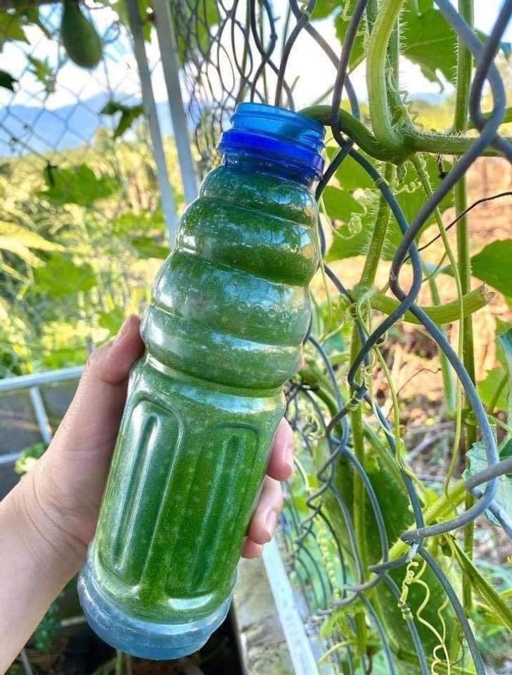 1644859770 636 16 vezes que a criatividade explodiu dentro da cabeca dessas