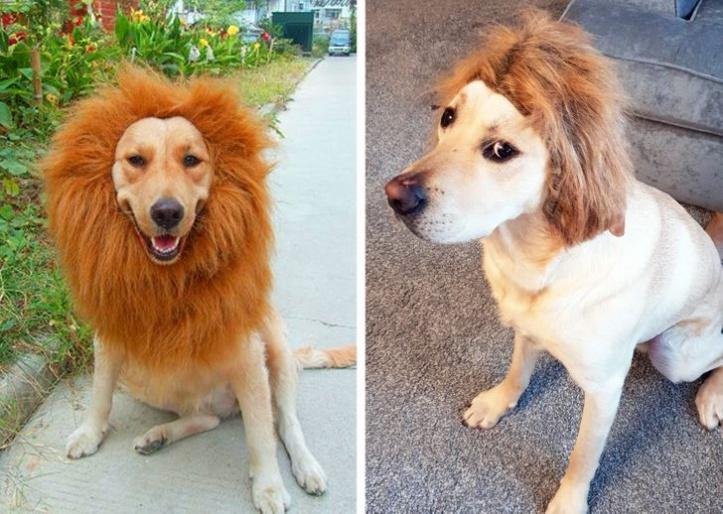 18 pessoas com expectativas altissimas mas a realidade os fez