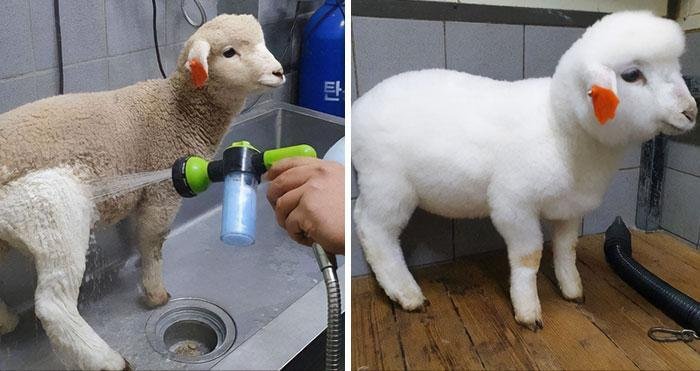 22 Fotos de antes e depois que sao incrivelmente satisfatorias