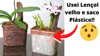 3 Ideias Incríveis Com Potes De Sorvete