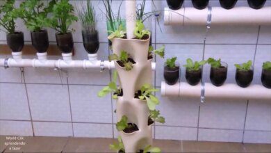 APRENDA A FAZER UMA HORTA VERTICAL COM CANO DE PVC