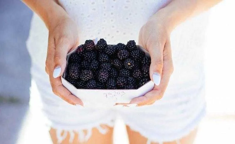 Benefícios da amora e seu chá emagrecedor