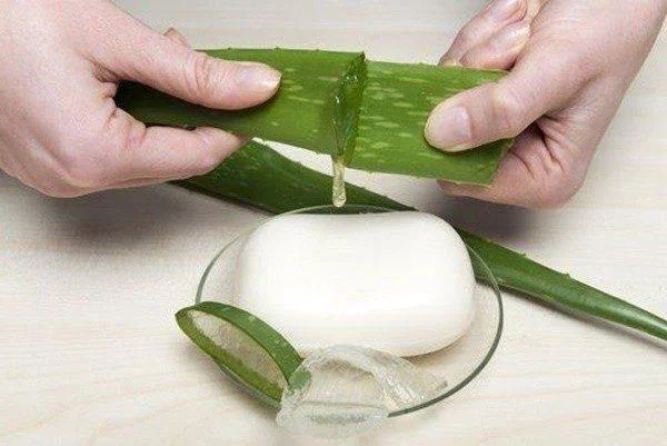 Como fazer sabonete de babosa com efeito hidratante