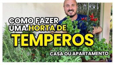 Como Fazer Uma Mini Horta de Temperos em Casa