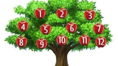 Escolha uma maçã e descubra o que acontecerá com você no futuro