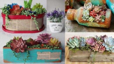 Ideias Lindas de Vasos Reciclados