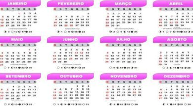 Saiba o que o mês do seu aniversário, fala sobre você