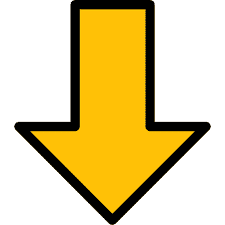 Teste divertido aprimore suas habilidades de observacaoQuantos leoes voce ve