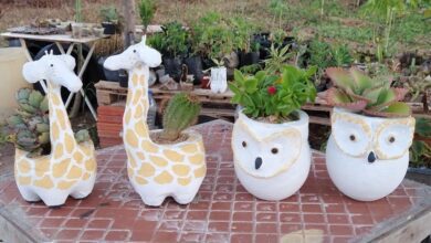 Vaso Girafa E Vaso Coruja De Cimento Com Garrafa Pet