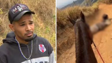 Homem que provocou a morte de cavalo em cavalgada se pronuncia sobre ato