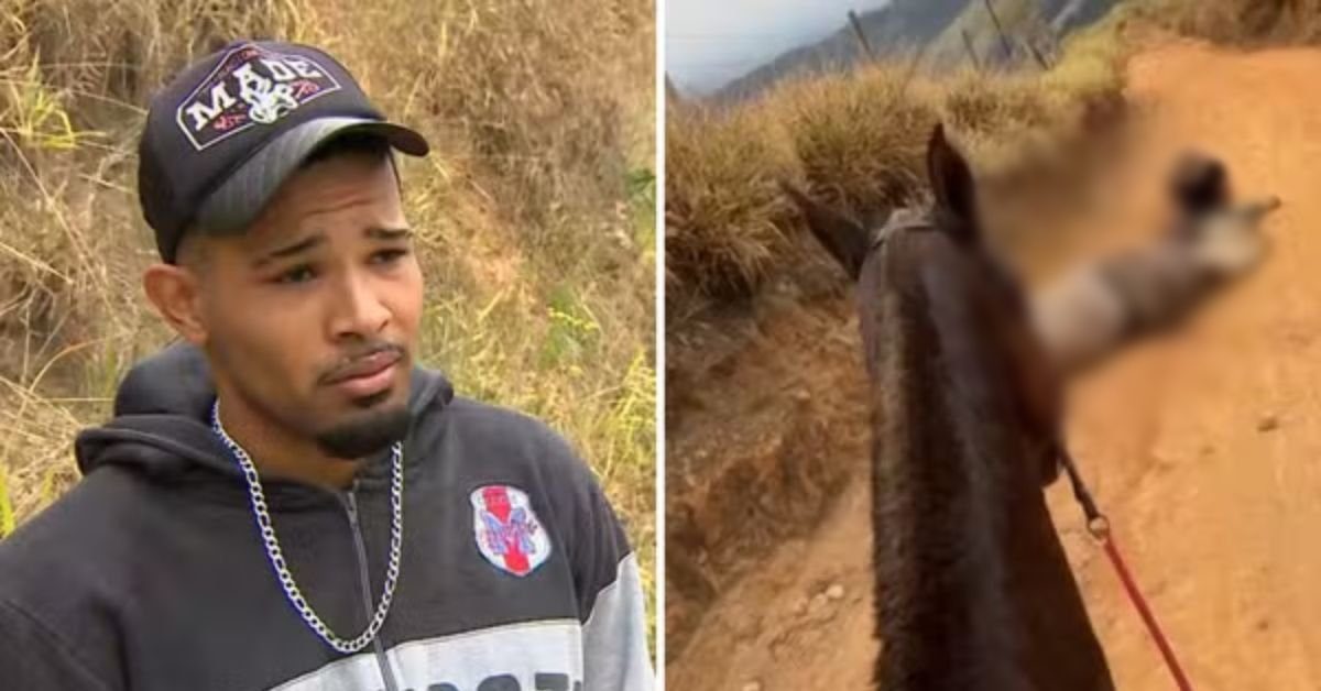 Homem que provocou a morte de cavalo em cavalgada se pronuncia sobre ato