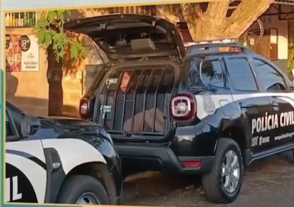 Pelo menos 10 boletins de ocorrência foram registrados contra a suspeita — Foto: Polícia Civil/Divulgação